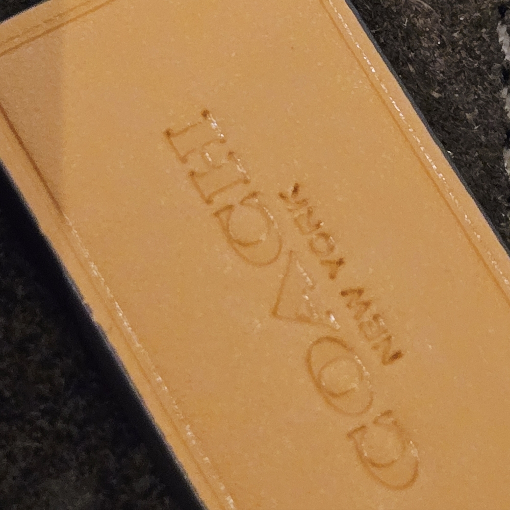 Coach Mira Shoulder Bag With Horse And Carriage Print, style number CM584. - Picture 11 of 13